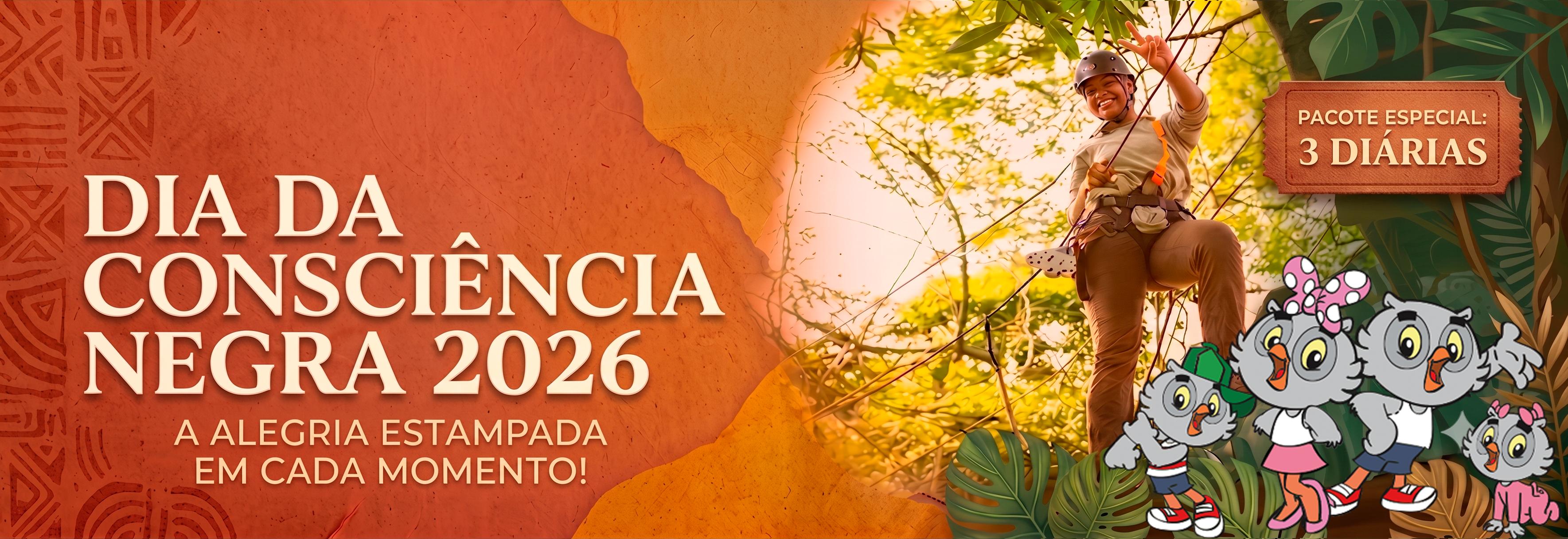Image que representa Dia da Consciência Negra
