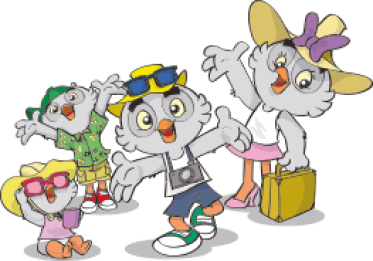 Image que representa undefined